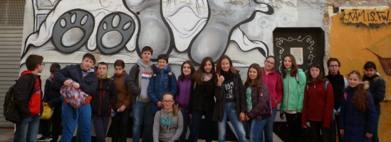 Ampliar Ampliar