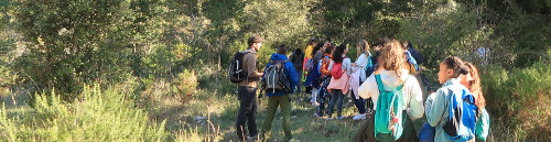 Clic per ampliar Clic per ampliar